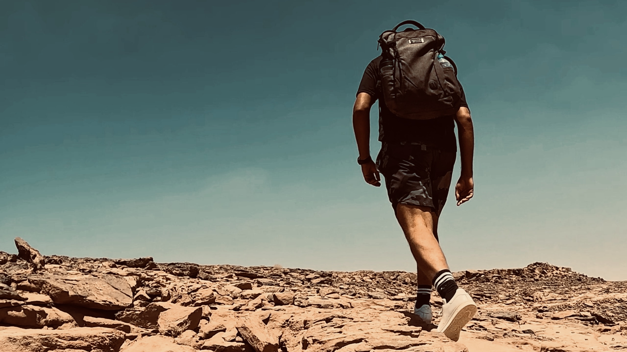 Walker mid-stride on desert rock